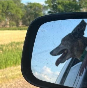 Meet your Posher, Carol